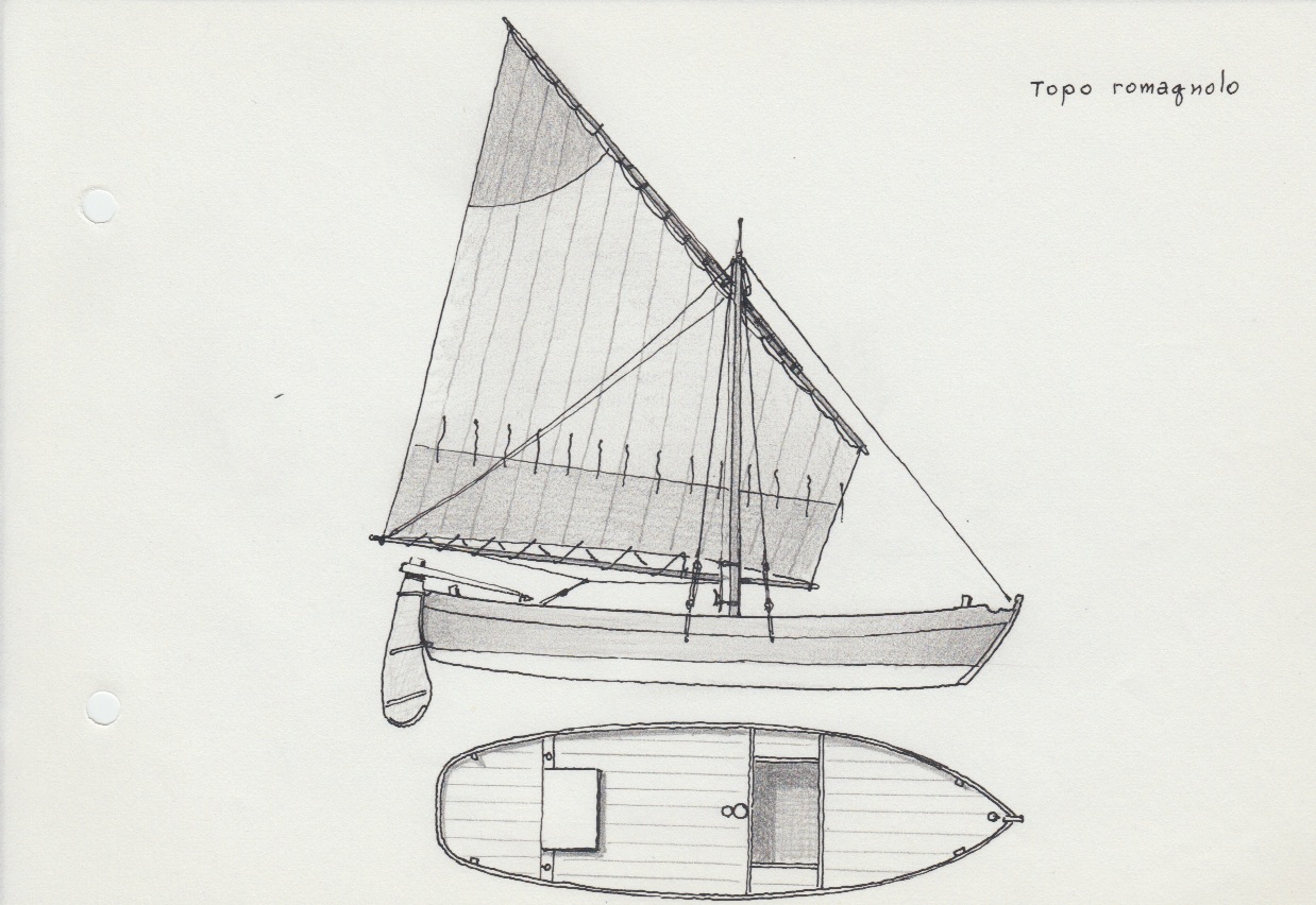 298 Topo romagnolo